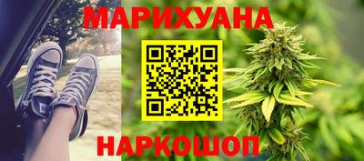 шишки Лесосибирск