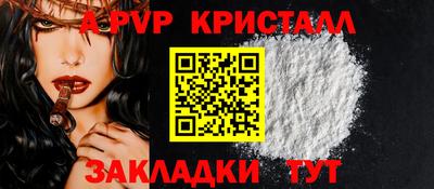 шишки Лесосибирск