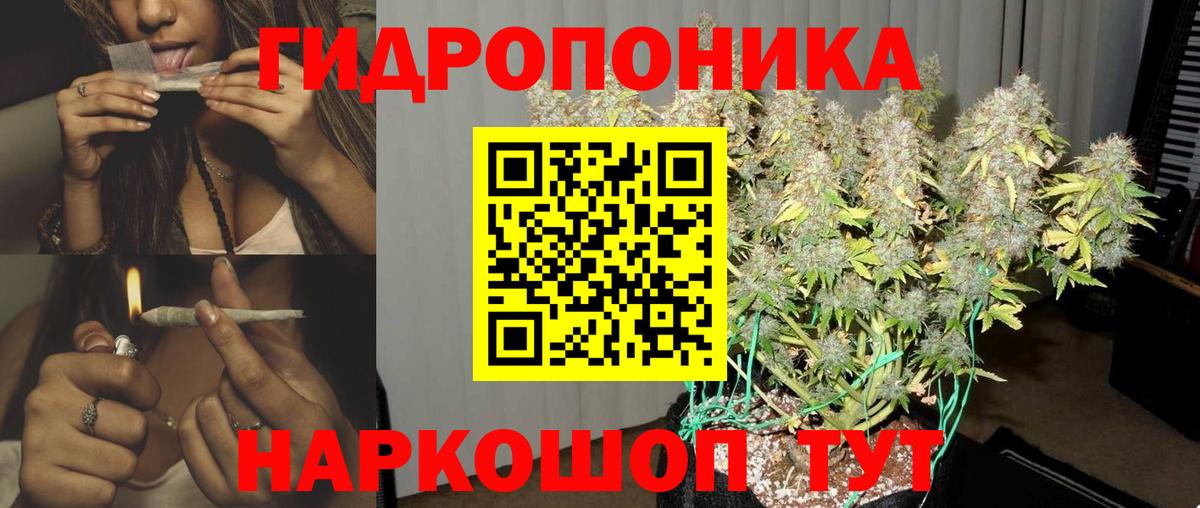 Каннабис гибрид  Вход с VPN  Вольск  Шишки марихуана Ganja  Марихуана планчик 