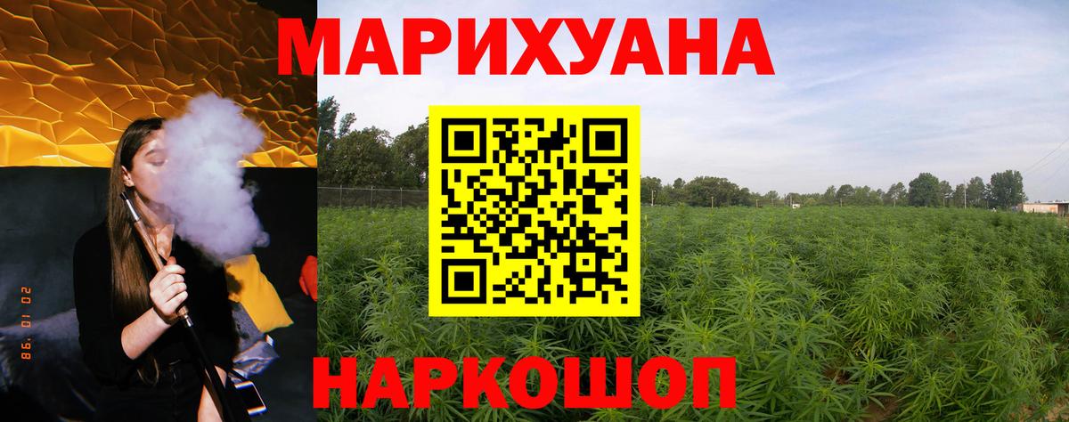 Марихуана конопля Вольск